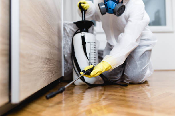 Best Exterminator Services  in West Whittier Los Nietos, CA
