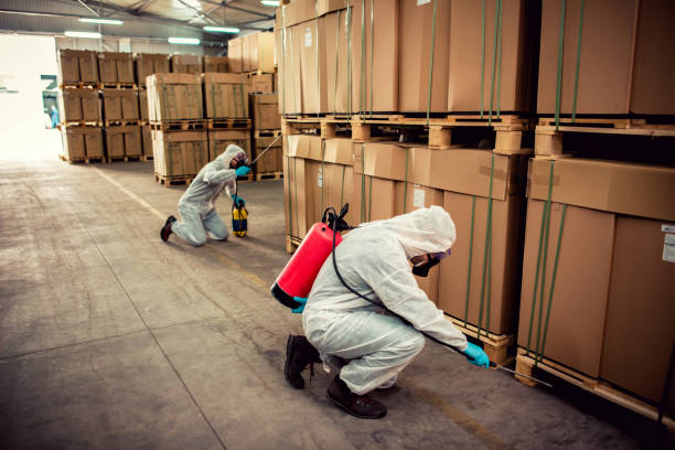 Best Affordable Pest Control Services  in West Whittier Los Nietos, CA