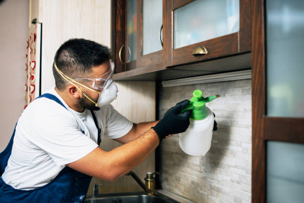 Best Local Pest Control Services  in West Whittier Los Nietos, CA