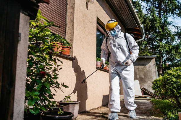 Reliable West Whittier Los Nietos, CA Pest Control Solutions