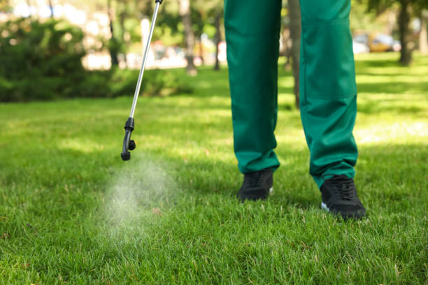  West Whittier Los Nietos, CA Pest Control Pros