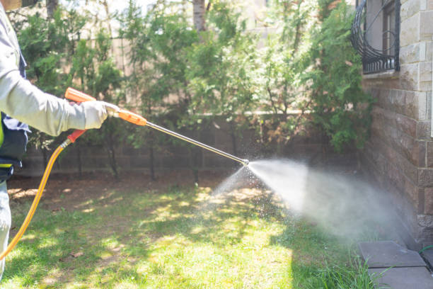 Best Wasp Removal Services  in West Whittier Los Nietos, CA