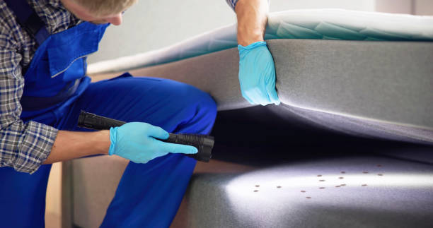 Best Best Pest Control Companies  in West Whittier Los Nietos, CA