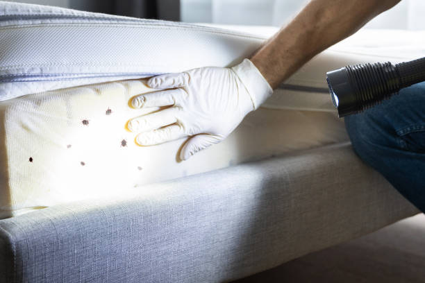 Best Pest Prevention Services  in West Whittier Los Nietos, CA