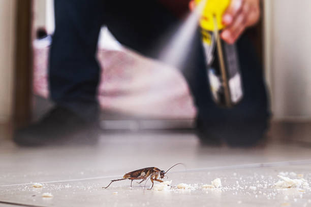 Best Best Pest Control Companies  in West Whittier Los Nietos, CA