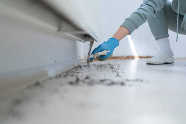 Best Residential Pest Control  in West Whittier Los Nietos, CA